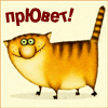 Аватарка